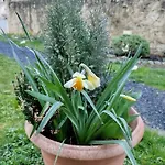Chateau Besson לינה וארוחת בוקר Desertines (Allier)