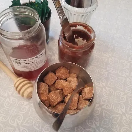 Chateau Besson Bed & Breakfast Desertines (Allier)