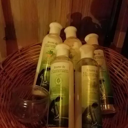 Bed & Breakfast Chateau Besson