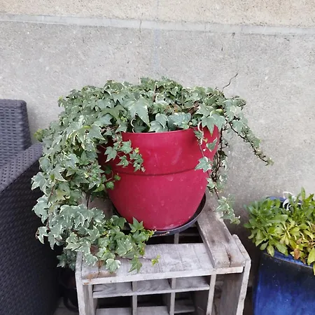 Chateau Besson Bed & Breakfast