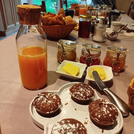 Chateau Besson Bed & Breakfast Desertines (Allier)