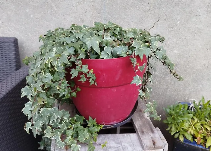 Chateau Besson Bed & Breakfast