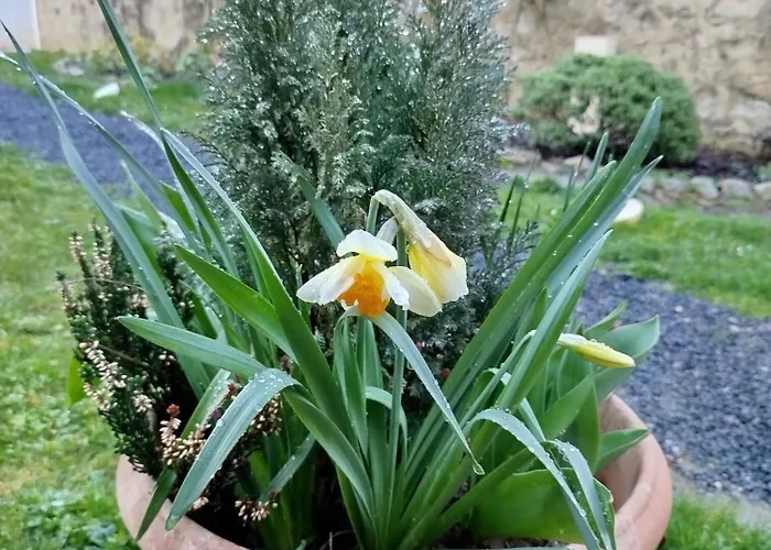 Chateau Besson Bed & Breakfast Desertines (Allier)